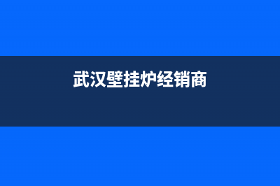 黄冈SIWOOD壁挂炉客服电话24小时(武汉壁挂炉经销商)