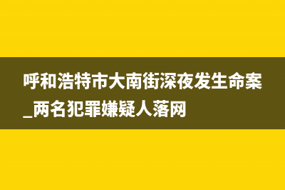 呼和浩特市大宇(DAEWOO)壁挂炉全国售后服务电话(呼和浩特市大南街深夜发生命案 两名犯罪嫌疑人落网)