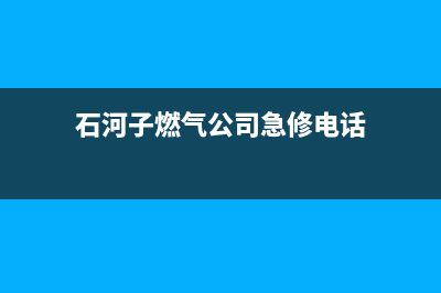 石河子市TCL燃气灶维修上门电话2023已更新(网点/更新)(石河子燃气公司急修电话)