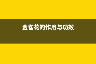 金雀花（PLANTAGENET）油烟机售后服务维修电话2023已更新(400)(金雀花的作用与功效)