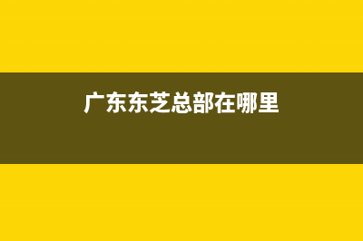 汕头市东芝(TOSHIBA)壁挂炉售后服务维修电话(广东东芝总部在哪里)