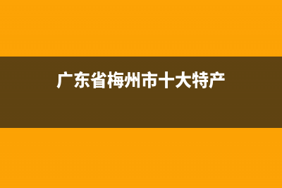 梅州市特梅特termet壁挂炉客服电话(广东省梅州市十大特产)