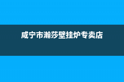 咸宁市瀚莎壁挂炉24小时服务热线(咸宁市瀚莎壁挂炉专卖店)