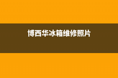 博西华冰箱维修服务电话2023已更新(400/联保)(博西华冰箱维修照片)