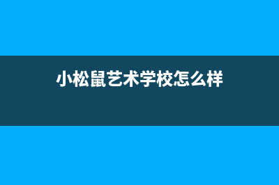 景德镇市小松鼠(squirrel)壁挂炉服务24小时热线(小松鼠艺术学校怎么样)