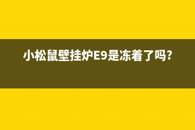 小松鼠壁挂炉e9故障怎么处理(小松鼠壁挂炉E9是冻着了吗?)