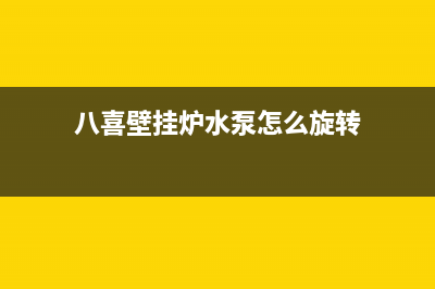 八喜壁挂炉水泵故障e26(八喜壁挂炉水泵怎么旋转)