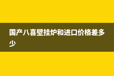 国产八喜壁挂炉代码e01(国产八喜壁挂炉和进口价格差多少)