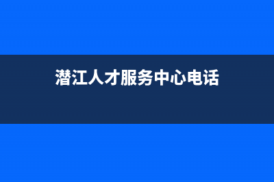 潜江市区智慧人(ZHRCJ)壁挂炉服务电话24小时(潜江人才服务中心电话)