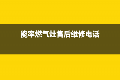 聊城能率燃气灶24小时服务热线电话(能率燃气灶售后维修电话)