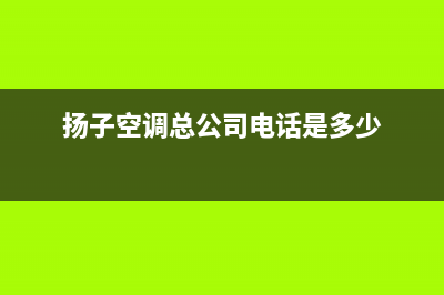 扬子空调湛江统一售后维修实体店(扬子空调总公司电话是多少)