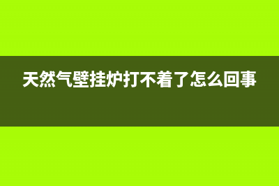 天然气壁挂炉打不着火故障代码E1(天然气壁挂炉打不着了怎么回事)