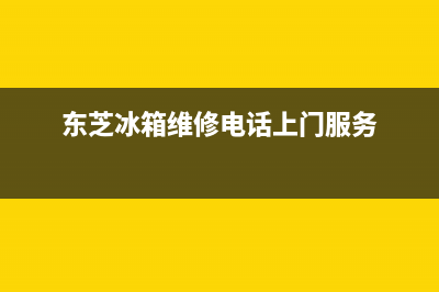 东芝冰箱维修售后电话号码（厂家400）(东芝冰箱维修电话上门服务)