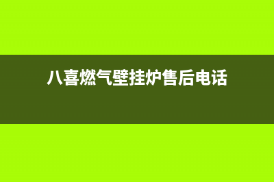 八喜燃气壁挂炉故障代码e41(八喜燃气壁挂炉售后电话)