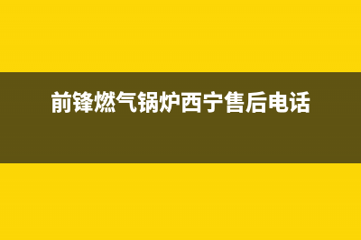 前锋燃气锅炉e4故障代码(前锋燃气锅炉西宁售后电话)