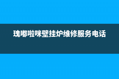 瑰嘟啦咪壁挂炉故障码er06(瑰嘟啦咪壁挂炉维修服务电话)