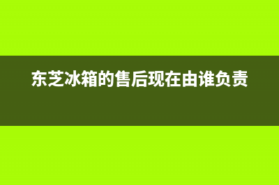 东芝冰箱上门服务标准(总部400)(东芝冰箱的售后现在由谁负责)