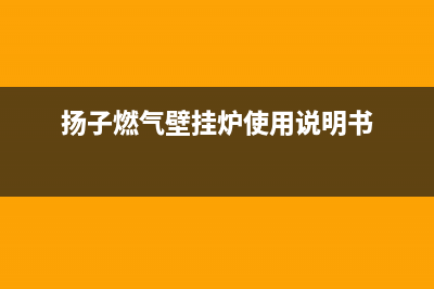 扬子燃气壁挂炉e1故障(扬子燃气壁挂炉使用说明书)