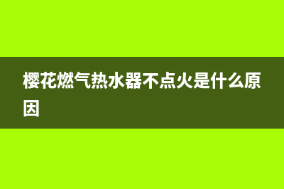 樱花燃气热水器故障e1(樱花燃气热水器不点火是什么原因)