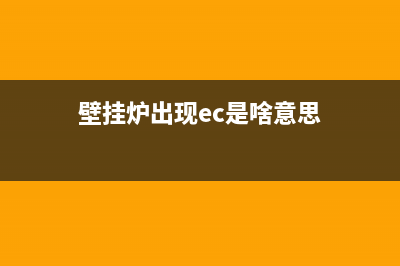 eca壁挂炉故障代码(壁挂炉出现ec是啥意思)