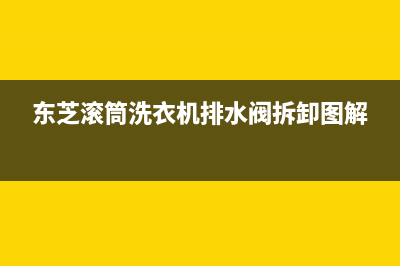 东芝滚筒洗衣机代码EH9(东芝滚筒洗衣机排水阀拆卸图解)