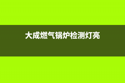 大成燃气锅炉故障代码ae(大成燃气锅炉检测灯亮)