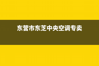 东营市东芝中央空调售后安装电话(东营市东芝中央空调专卖)