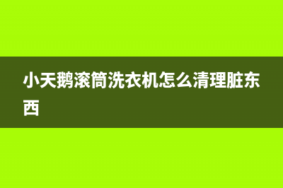 小天鹅滚筒洗衣机显E64故障代码(小天鹅滚筒洗衣机怎么清理脏东西)