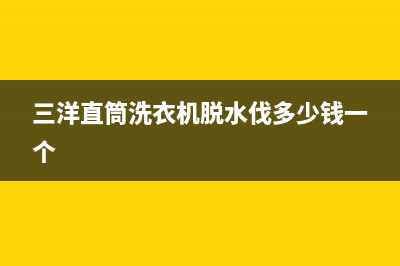 三洋直筒洗衣机E2故障代码(三洋直筒洗衣机脱水伐多少钱一个)