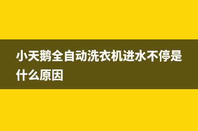 小天鹅全自动洗衣机故障代码e4(小天鹅全自动洗衣机进水不停是什么原因)