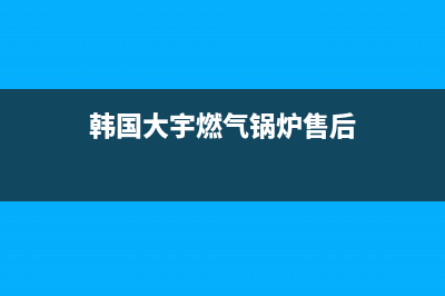 韩国大元燃气锅炉故障代码E1(韩国大宇燃气锅炉售后)