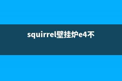 squirrel壁挂炉故障(squirrel壁挂炉e4不打火)