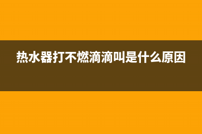 热水器打不燃火故障e2(热水器打不燃滴滴叫是什么原因)