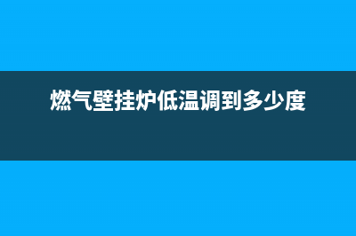 低能燃气壁挂炉故障代码E8(燃气壁挂炉低温调到多少度)