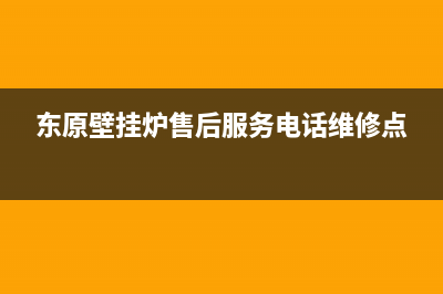 东原壁挂炉售后服务电话(2023更新)重庆售后服务电话(东原壁挂炉售后服务电话维修点)