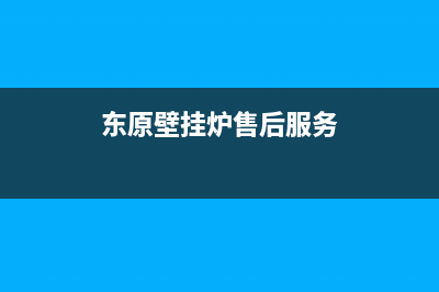 东原壁挂炉售后服务电话(400已更新)全国统一服务热线电话(东原壁挂炉售后服务)