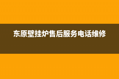 东原壁挂炉售后服务电话(400已更新)服务电话24小时(东原壁挂炉售后服务电话维修)