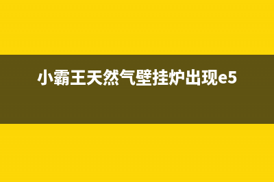 小霸王天然气壁挂炉故障E0(小霸王天然气壁挂炉出现e5)