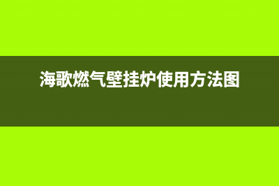 海歌燃气壁挂炉E6是什么故障(海歌燃气壁挂炉使用方法图)