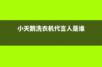 小天鹅洗衣机代码E8什么问题(小天鹅洗衣机代言人是谁)