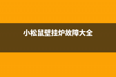 小松鼠壁挂炉故障e9解决办法(小松鼠壁挂炉故障大全)