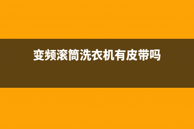 变频滚筒洗衣机显示e9是什么故障代码(变频滚筒洗衣机有皮带吗)