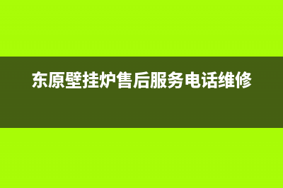 东原壁挂炉售后服务电话(2022更新)(东原壁挂炉售后服务电话维修)