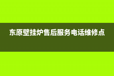 东原壁挂炉售后服务热线(东原壁挂炉售后服务电话维修点)