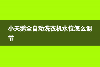 小天鹅全自动洗衣机故障代码e1(小天鹅全自动洗衣机水位怎么调节)