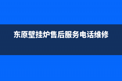 东原壁挂炉售后服务电话(东原壁挂炉售后服务电话维修)