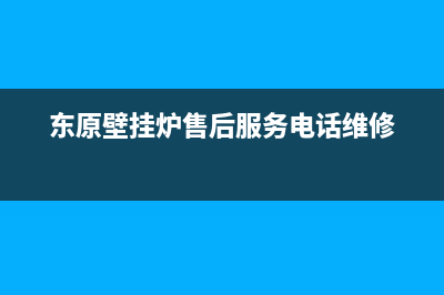 东原壁挂炉售后电话多少(东原壁挂炉售后服务电话维修)