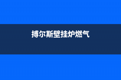 博格尔壁挂炉售后服务维修(搏尔斯壁挂炉燃气)