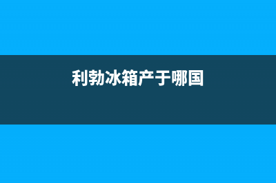 利勃格兰仕冰箱上门服务标准(利勃冰箱产于哪国)