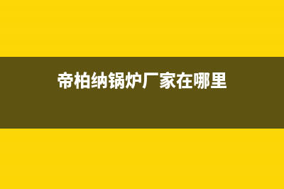 帝柏纳锅炉厂家统一400售后电话(帝柏纳锅炉厂家在哪里)